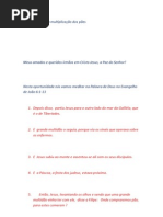 As Vinte Lições Da Multiplicação Dos Pães