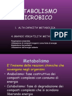 06intro Metabolismo Microbico