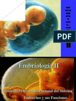 Desarrollo Prenatal Sistema Endocrino