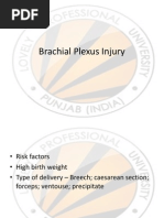 Brachial Plexus Injury