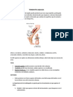 Tendinitis Aquilea