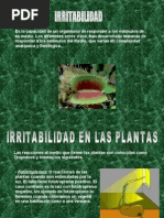 Irritabilidad de Las Plantas