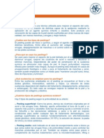 Info Sobre El Peeling PDF