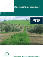 Cubiertas Vegetales en El Olivar