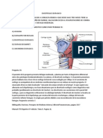 Casos Clinicos Digestivo