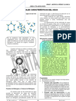 Caracteristicas Del Agua