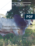 Evaluacion Reproductiva Macho Bovino