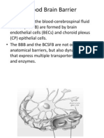 K - 8 Blood Brain Barrier (Biokimia)