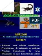 Animais Peçonhentos