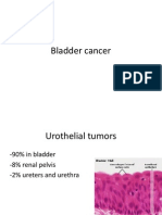 9 Urinary and Male Genital