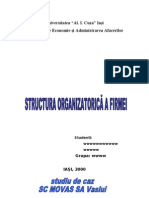 Structura Organizatorica A Firmei