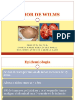 Tumor de Wilms