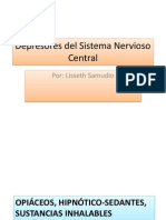 Depresores Del Sistema Nervioso Central