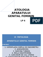 Patologie Genital Feminin 6