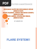 Flare System