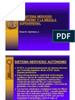 Sistema Nervioso Autonomo y La Medula Suprarrenal