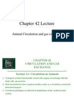 Circulation and Gas Exchange