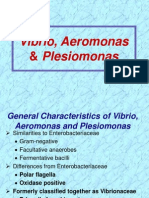 Vibrio & Aeromonas & Plesiomonas