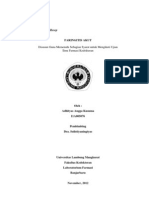 Laporan Analisa Resep Faringitis Akut