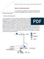 Metabolismul Glucozei