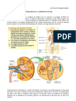 Sistema Renal y Cardiovascular PDF