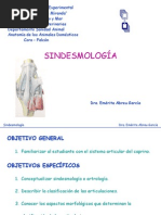 Sindesmologia PDF