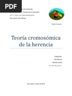 Teoria Cromosomica de La Herencia