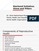 Definitions and Pillars For Safemother Hood