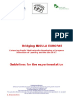 Bridging Guidelines Ingl