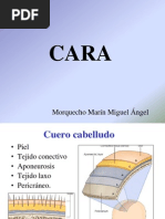 Cara