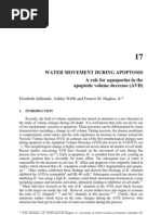 Water Movement During Apoptosis A Role For Aquaporins in The Apoptotic Volume Decrease (AVD)