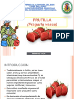 Expo Frutilla