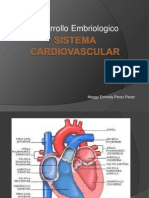 Sistema Cardiovascular