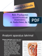 Anatomi Sistem Lakrimalis