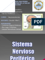 Sistema Nervioso Periferico