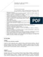 Planificación Cultura y Comunicación 2009