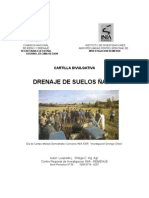 Drenaje de Suelos Ñadis