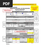 Modelo de Llenado de Formulario EE - FF - Renov PJ