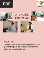 Atención Prenatal 2010