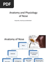 Anatomy and Physiology of Nose