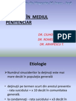 SUICIDUL IN MEDIUL PENITENCIAR - PPSX