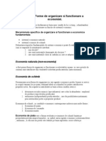 Forme de Organizare A Microeconomiei