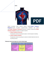 Saluran Dan Peredaran Darah