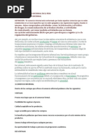 El Comercio Informal en El Peru PPPTT