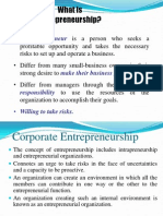 What Is Entrepreneurship?: Entrepreneur