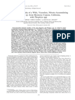 Vacuolate, Nitrate Accumulating