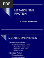 Metabolisme Protein As - Amino