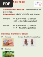 Herança Do Sexo - 2003