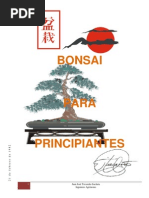 Bonsai para Principiantes