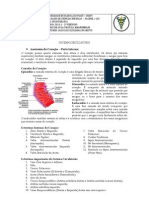 Roteiro de Anatomia Do Coração - Parte Interna